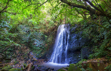 Plakat New Zealand waterfall