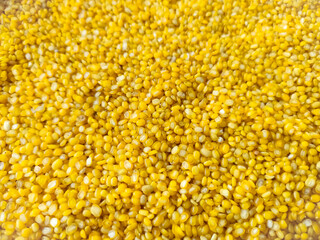 Fresh yellow Moong Dal 