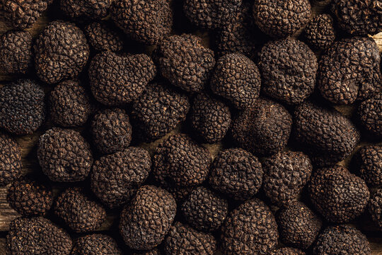 Black truffle gourmet mushrooms