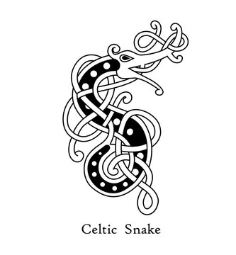 Celtic style tribal pattern on black and white color. Use it for package, logo or poster design.