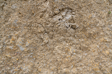 Texture and background of earth and stone