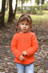 portrait of a beautiful little girl 4 years old in a red sweater in autumn