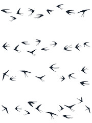 Flying swallow birds silhouettes vector illustration. Nomadic martlets flock isolated on white. 