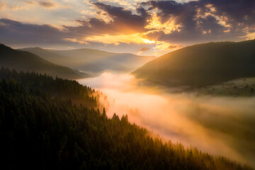 Fog in the mountains at dawn. Beautiful summer foggy landscape. Hiking in the mountains