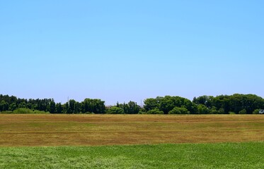 河川敷から青空を眺める　春　渡良瀬　風景