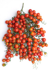 Cherry tomatoes on vines
