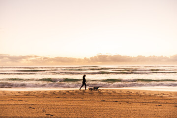 Fototapeta na wymiar woman and a dog walking on the beach early morning 