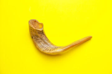 Shofar on color background. Rosh Hashanah (Jewish New Year) celebration