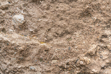 Texture and background of earth and stone