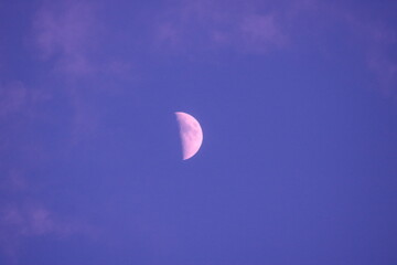 Half Moon Over the Coast