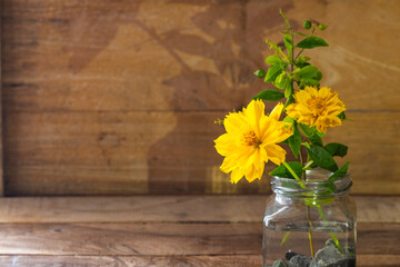 yellow flower cosmos in bottle decoration postcard style on background wooden