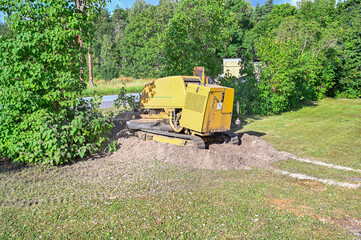 big yellow stump grinder in lilac hedge