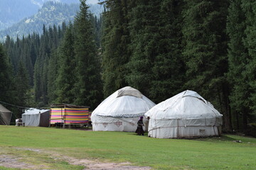 tent in the woods