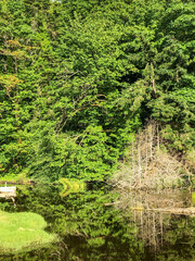 Burfoot Park