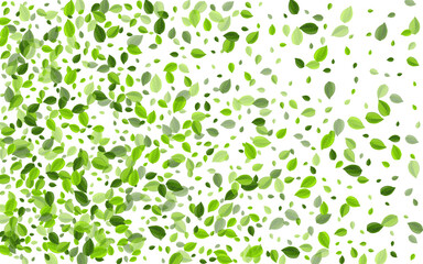 Swamp Greens Tea Vector Wallpaper. Spring Leaf 