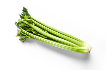 Celery branch bunch isolated on white