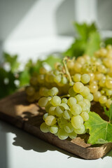 Weintrauben eigene Ernte