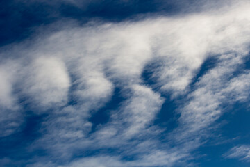 High white wispy cirrus clouds with cirro-stratus in the blue Australian sky  in late winter sometimes called mare's tails  indicate fine weather now but stormy changes coming within a couple of days.