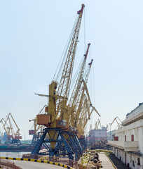 Fototapeta na wymiar Different harbor cranes in sea cargo port