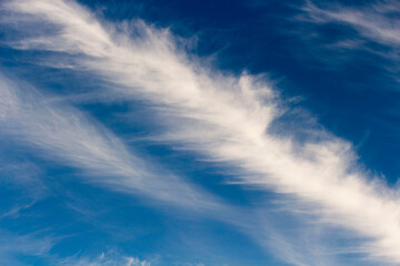 High white wispy cirrus clouds with cirro-stratus in the blue Australian sky  in late winter sometimes called mare's tails  indicate fine weather now but stormy changes coming within a couple of days.