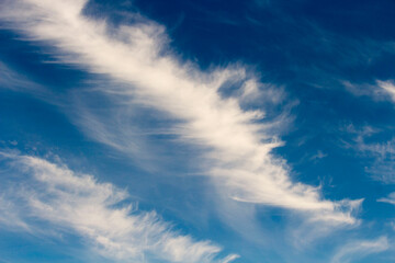 Obraz premium High white wispy cirrus clouds with cirro-stratus in the blue Australian sky in late winter sometimes called mare's tails indicate fine weather now but stormy changes coming within a couple of days.
