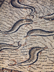 Mosaicos de la casa de orfeo.Ciudad Romana de Volubilis(II d.c.), yacimiento arqueologico.Marruecos.