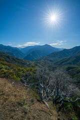 scenic road in kings canyon national park, usa
