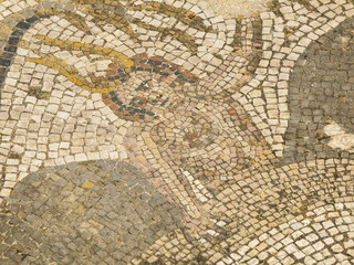 Mosaicos de la casa de Baco.Ciudad Romana de Volubilis(II d.c.), yacimiento arqueologico.Marruecos.