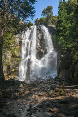 grizzly falls in kings canyon national park, usa