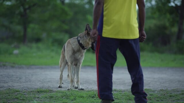 Highly trained Disaster Search Dog (DSD) teams training dogs to  response efforts to save lives in the face of terrorist attacks, earthquakes and floods . 