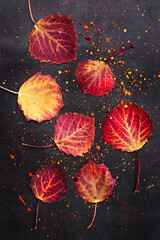 Autumn orange-red leaves on a dark background. Around leaves and on their are bright splashes of paint of the same colors. Creative autumn flat lay..