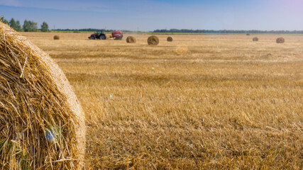 Close up harvested wheat field with large round straw bales resting on bristles. Landscape image with copy space.