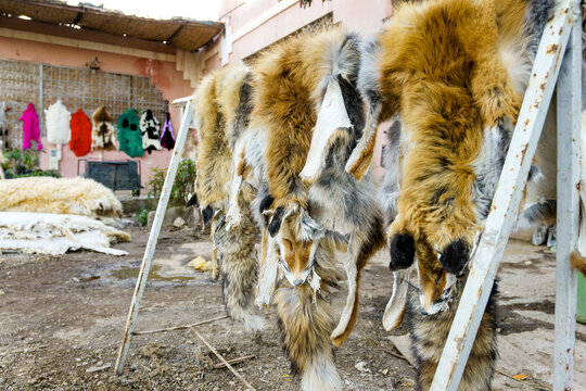 Zoco de los curtidores. Taroudannt.Antiatlas.Marruecos.