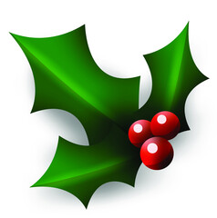 Christmas holly  berry leaf illustration on white background