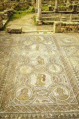 Mosaicos de la casa de Baco.Ciudad Romana de Volubilis(II d.c.), yacimiento arqueologico.Marruecos.