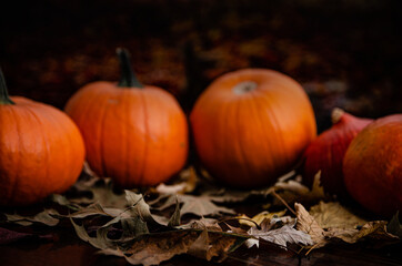 
background orange dark pumpkins on wood in leaves