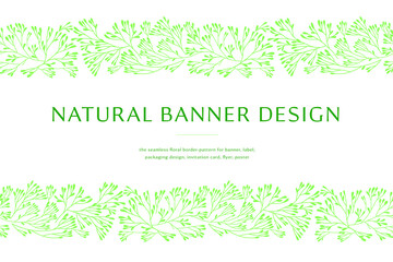 Vector herbal banner with drawings of herbs. Natural cosmetic label. Leaf silhouette for eco store, healthy food. Botanical background for bio pattern, herbal medicine with organic illustrations.