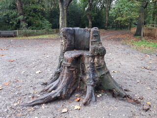 stump like a chair