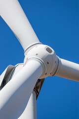 Wind turbine rotor