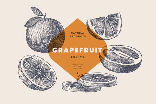 180 776 件の最適な シトラス 画像 ストック写真 ベクター Adobe Stock