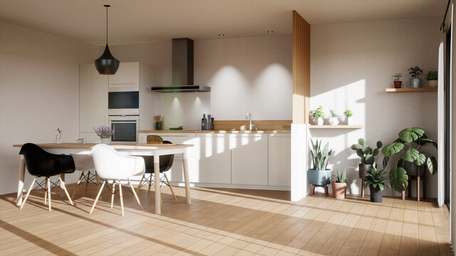 cuisine blanche et parquet bois vue 3d 20-01