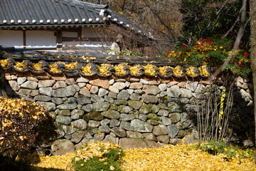 Autumn scenery with Korean traditional house Hanok