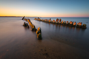 Old wooden piles on the beach.Baltic Sea, Rewa, Poland