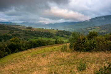 rural landscape in mountain on a cloudy morning. dramatic hazy scenery of carpathian countryside