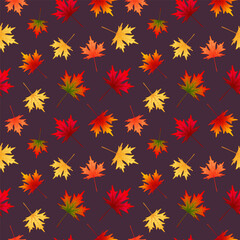 Seamless pattern with multicolored autumn maple leaves on dark background.