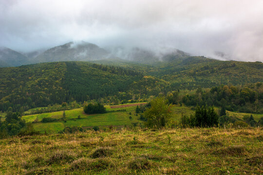 rural landscape in mountain on a cloudy morning. dramatic hazy scenery of carpathian countryside