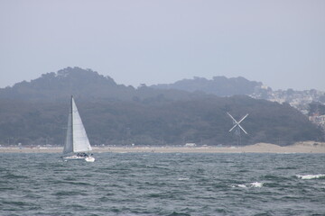 Obraz premium San Francisco Coastline