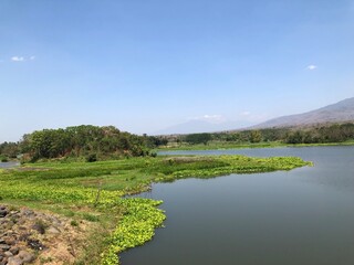 portrait of natural scenery with a river decorated with fresh green plants and a clear blue sky. against the backdrop of a towering mountain.