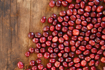 close up of fresh coffee beans for background                                