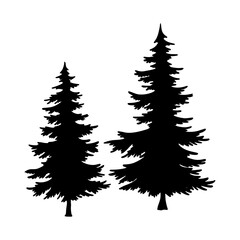 Isolated Pine on the white background.Pine silhouettes. Tree hand drawn.Vector EPS 10.